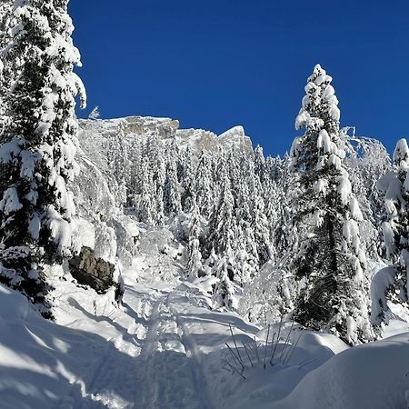 Chalet Du Grand Cerf Servoz Eksteriør bilde