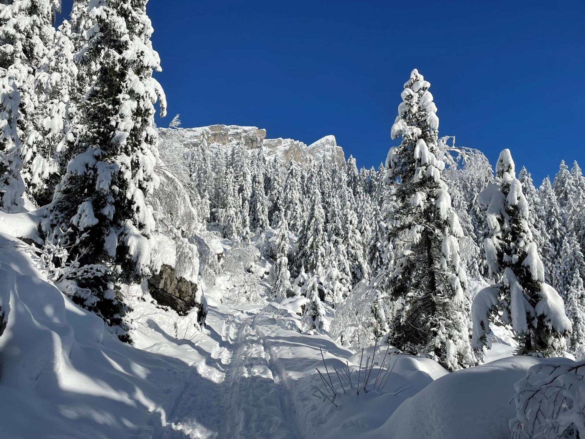 Chalet Du Grand Cerf Servoz Eksteriør bilde
